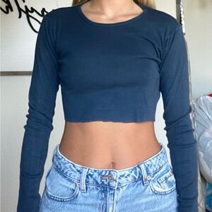 Brandy Melville Blue Crop Top